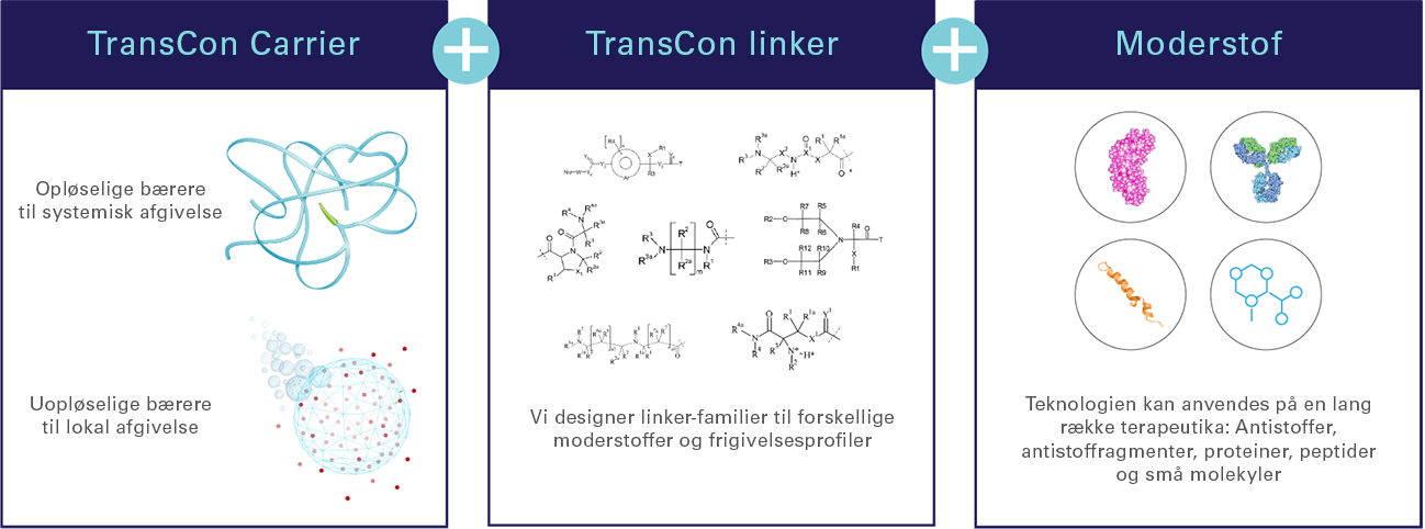 Technology_Transient_Conjugation_Graphic
