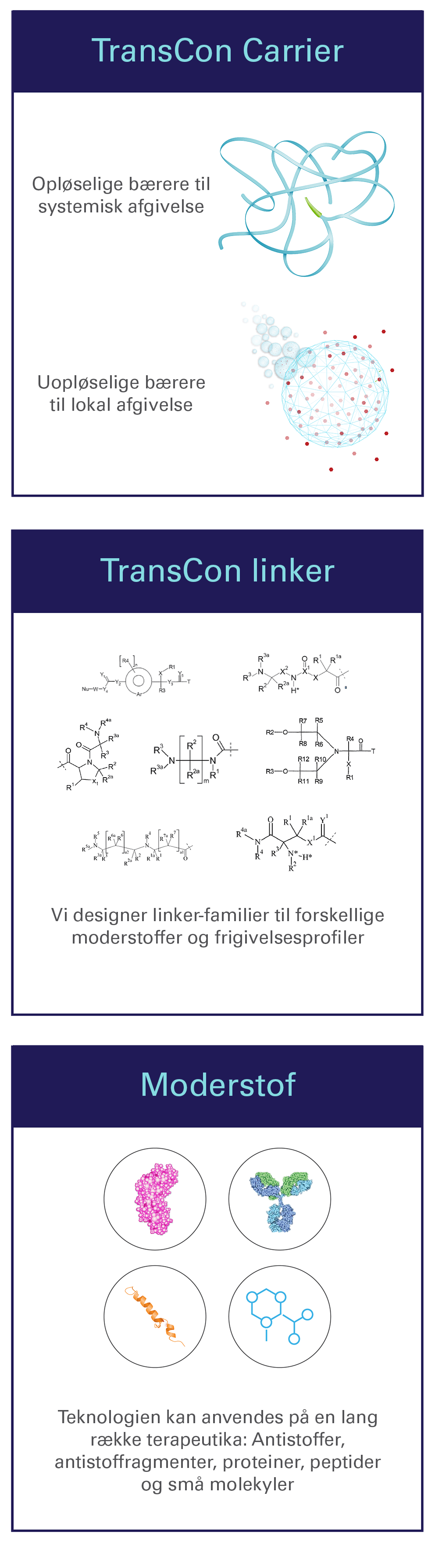 outlined_Technology_Transient_Conjugation_Graphic-2