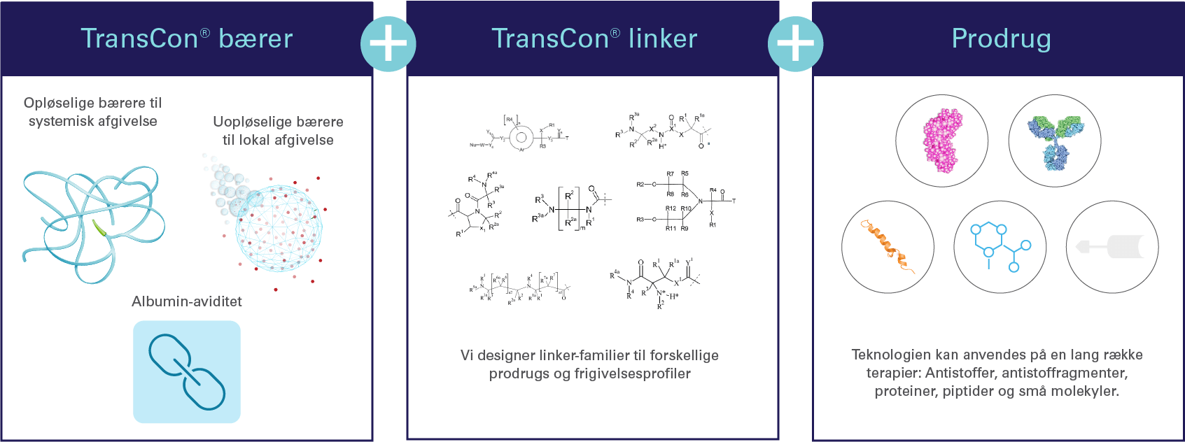Desktop-TCTechnologyTransientConjugationGraphic_2026_DK_v2