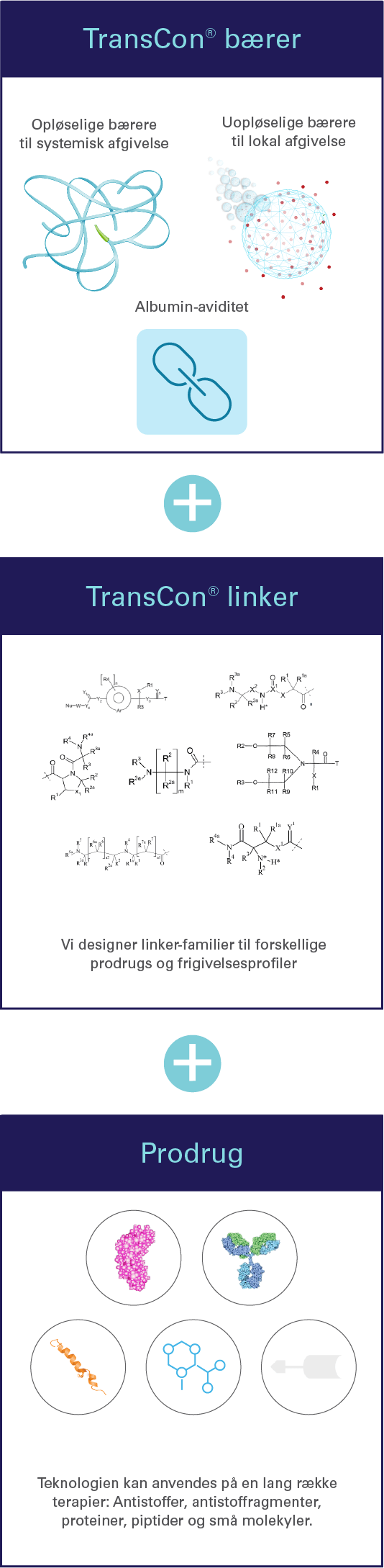 Mobile-TCTechnologyTransientConjugationGraphic_2026_DK_v2