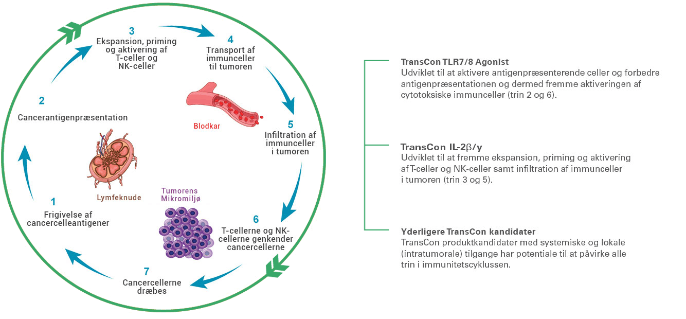 Immunity Cycle