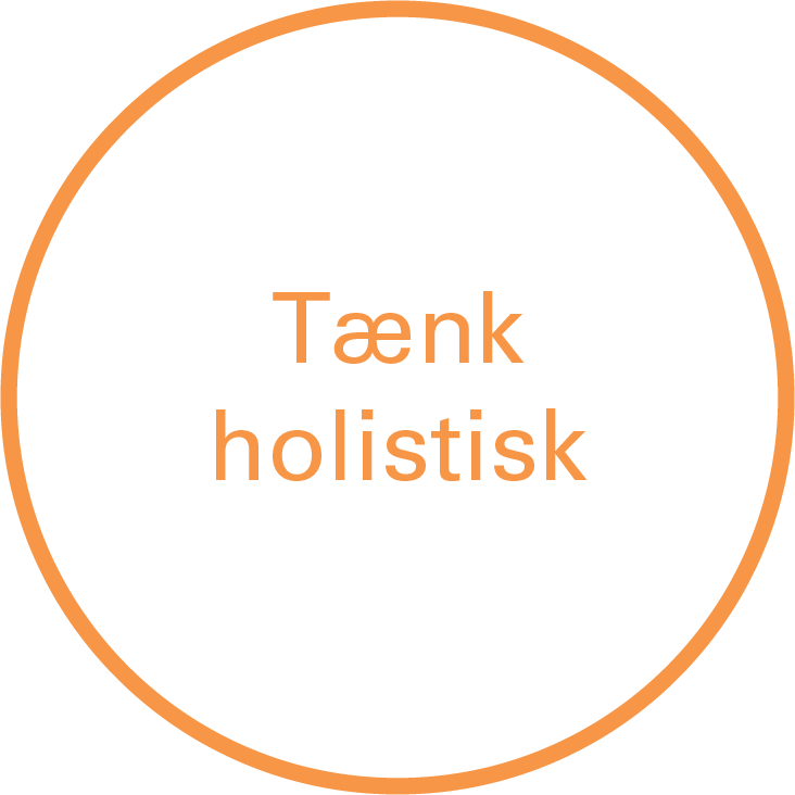 Tænkholistisk